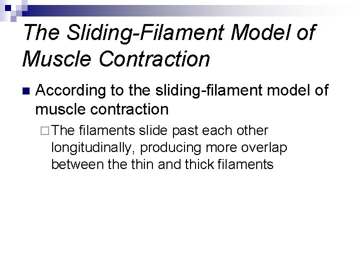 The Sliding-Filament Model of Muscle Contraction n According to the sliding-filament model of muscle