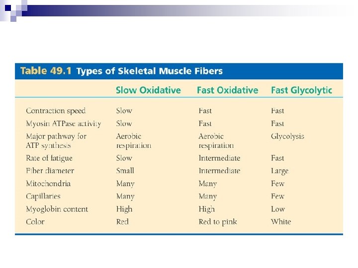 n Types of skeletal muscles 