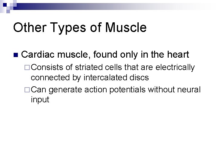 Other Types of Muscle n Cardiac muscle, found only in the heart ¨ Consists