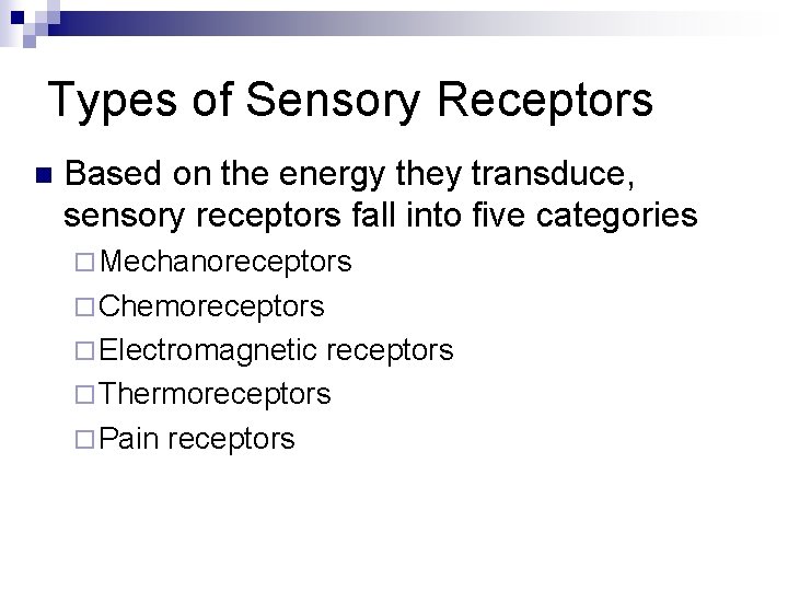 Types of Sensory Receptors n Based on the energy they transduce, sensory receptors fall
