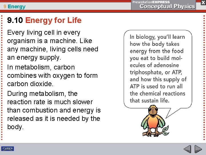 9 Energy 9. 10 Energy for Life Every living cell in every organism is