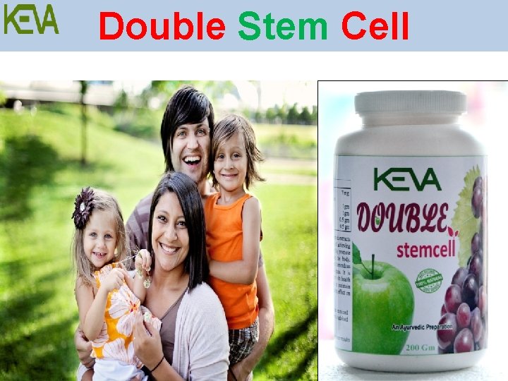 Double Stem Cell 