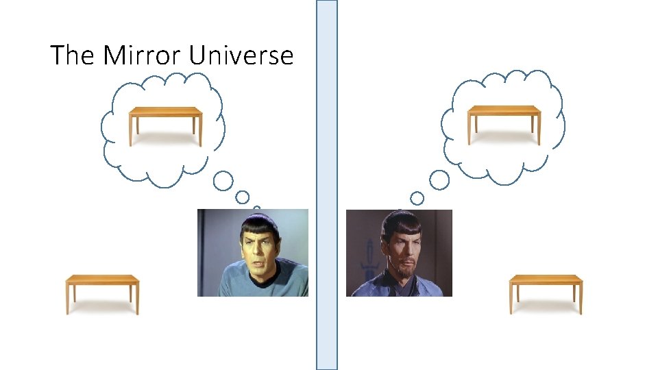 The Mirror Universe 