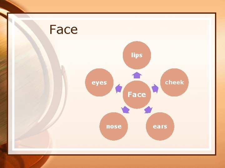 Face lips eyes cheek Face nose ears 