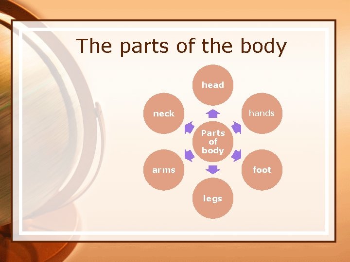 The parts of the body head neck hands Parts of body arms foot legs