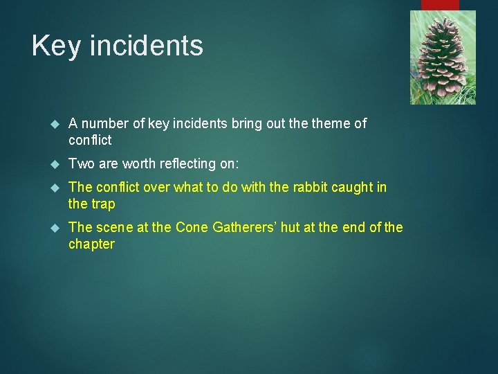 Key incidents A number of key incidents bring out theme of conflict Two are