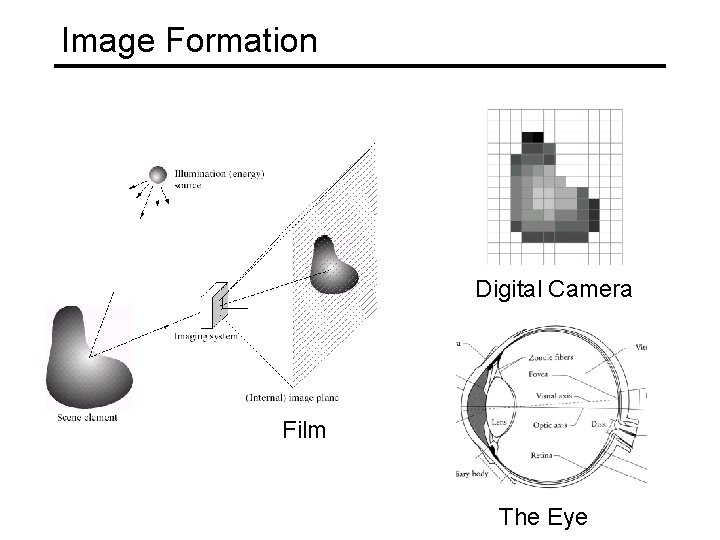Image Formation Digital Camera Film The Eye 