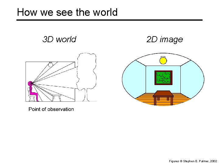 How we see the world 3 D world 2 D image Figures © Stephen