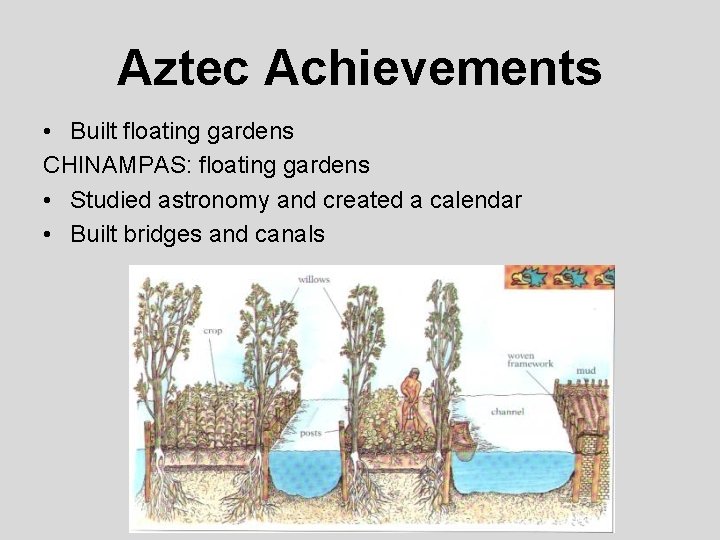 Aztec Achievements • Built floating gardens CHINAMPAS: floating gardens • Studied astronomy and created Aztec Achievements • Built floating gardens CHINAMPAS: floating gardens • Studied astronomy and created
