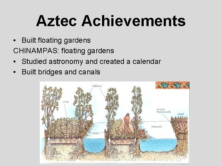 Aztec Achievements • Built floating gardens CHINAMPAS: floating gardens • Studied astronomy and created
