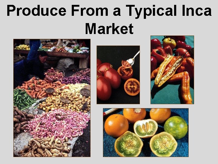 Produce From a Typical Inca Market 