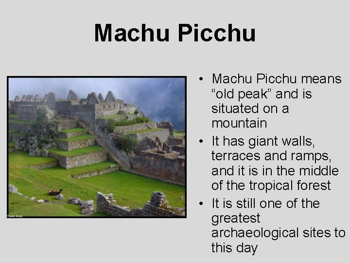 Machu Picchu • Machu Picchu means “old peak” and is situated on a mountain