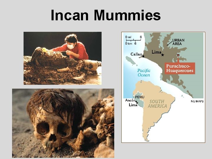 Incan Mummies 