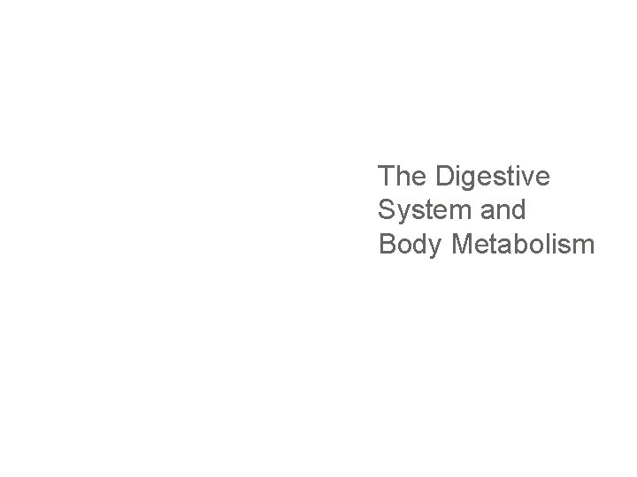 The Digestive System and Body Metabolism 