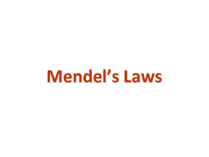 Mendel’s Laws copyright cmassengale 1 