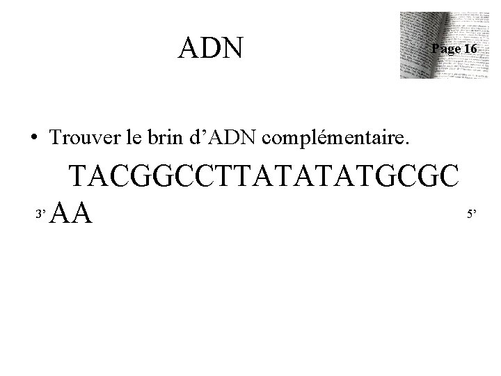 ADN Page 16 • Trouver le brin d’ADN complémentaire. TACGGCCTTATATATGCGC 3’ AA 5’ 