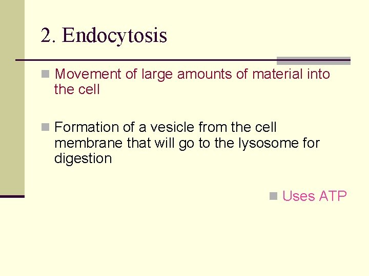 2. Endocytosis n Movement of large amounts of material into the cell n Formation