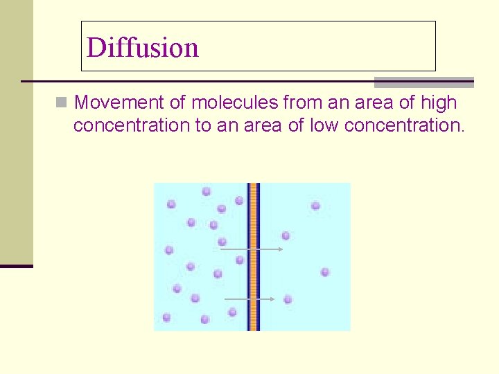 Diffusion n Movement of molecules from an area of high concentration to an area