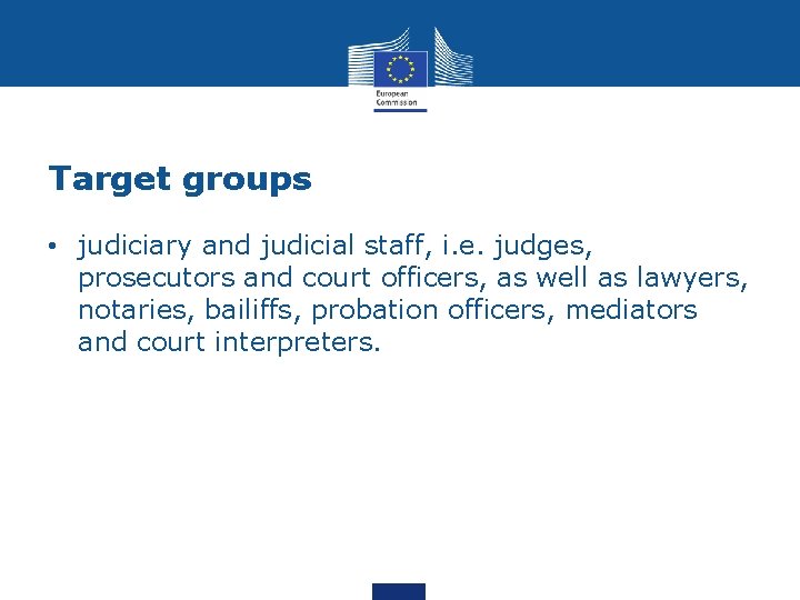 Target groups • judiciary and judicial staff, i. e. judges, prosecutors and court officers,