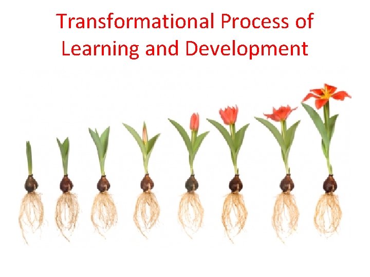 Transformational Process of Learning and Development 