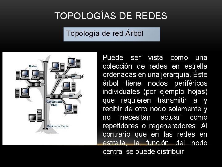 TOPOLOGÍAS DE REDES Topología de red Árbol Puede ser vista como una colección de