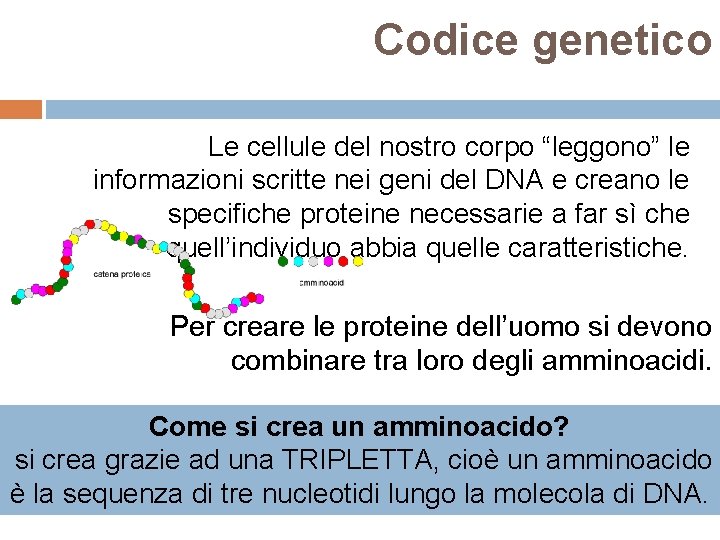 Codice genetico Le cellule del nostro corpo “leggono” le informazioni scritte nei geni del