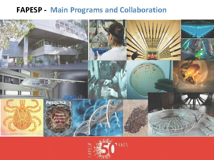 FAPESP - Main Programs and Collaboration 