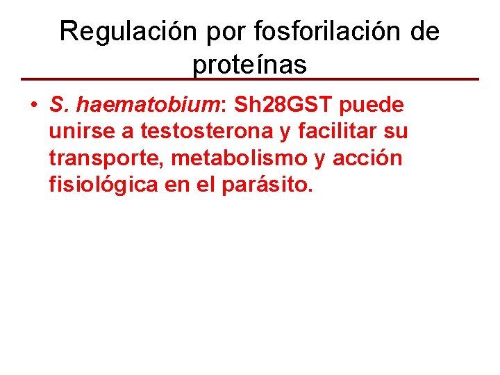 Regulación por fosforilación de proteínas • S. haematobium: Sh 28 GST puede unirse a