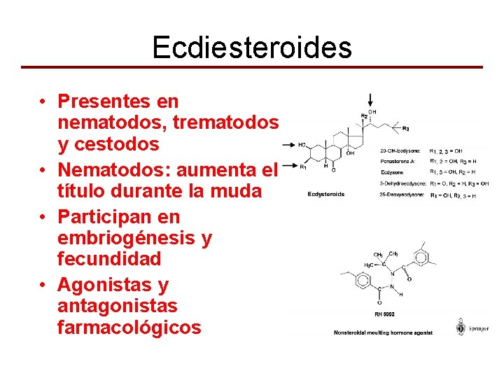 Ecdiesteroides • Presentes en nematodos, trematodos y cestodos • Nematodos: aumenta el título durante