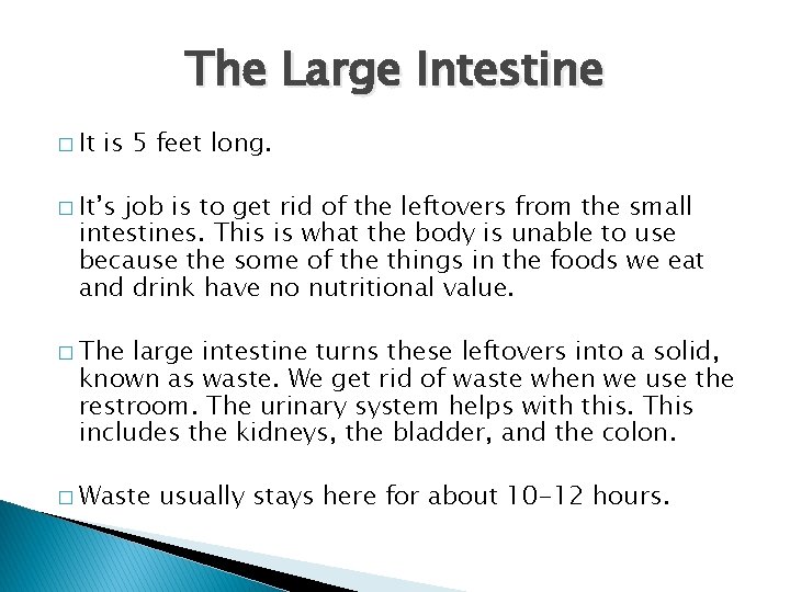 The Large Intestine � It is 5 feet long. � It’s job is to