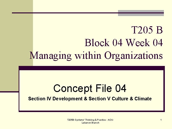 T 205 B Block 04 Week 04 Managing within Organizations Concept File 04 Section