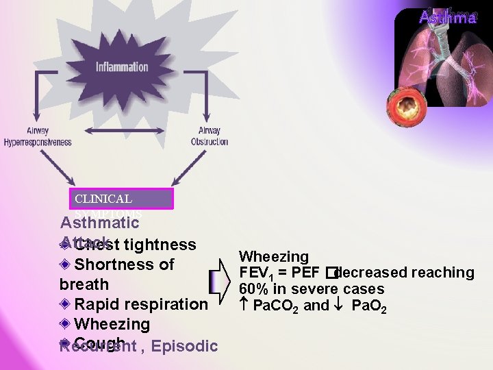Asthma CLINICAL SYMPTOMS Asthmatic Attack Chest tightness Shortness of breath Rapid respiration Wheezing Cough Asthma CLINICAL SYMPTOMS Asthmatic Attack Chest tightness Shortness of breath Rapid respiration Wheezing Cough