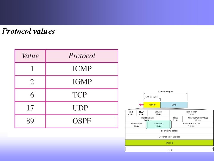 Network Layer Protocols COMP 3270 Computer Networks Computing