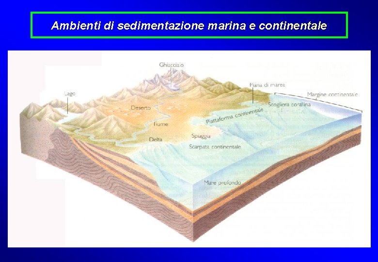 Ambienti di sedimentazione marina e continentale 12 