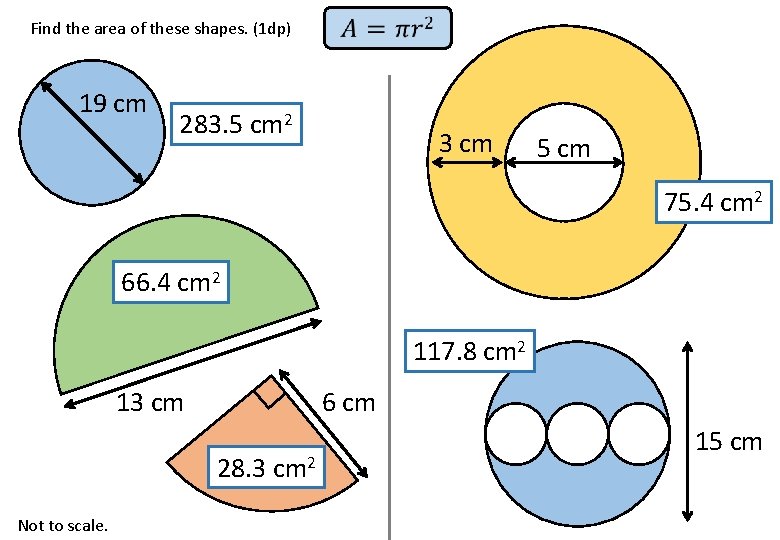 Find the area of these shapes. (1 dp) 19 cm 283. 5 cm 2