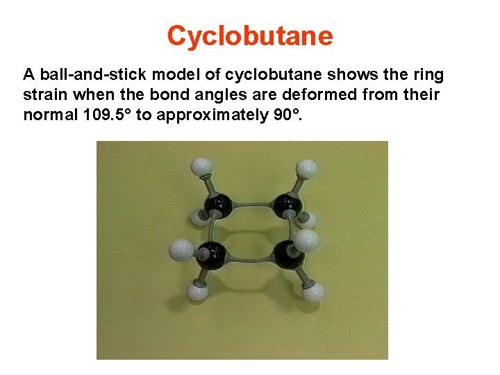 Cyclobutane A ball-and-stick model of cyclobutane shows the ring strain when the bond angles
