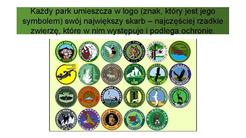 Każdy park umieszcza w logo (znak, który jest jego symbolem) swój największy skarb –