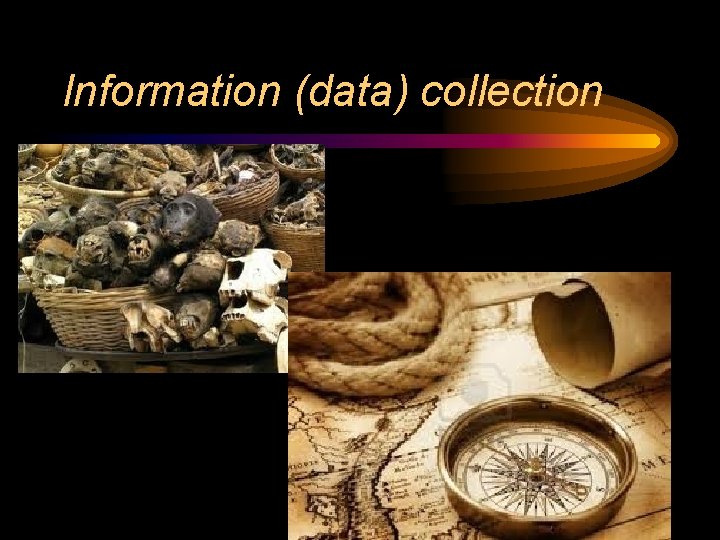 Information (data) collection 