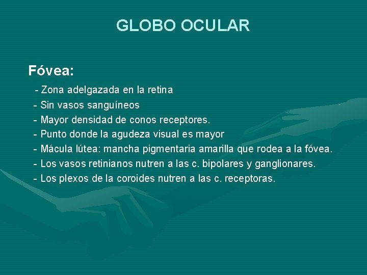 GLOBO OCULAR Fóvea: - Zona adelgazada en la retina - Sin vasos sanguíneos - GLOBO OCULAR Fóvea: - Zona adelgazada en la retina - Sin vasos sanguíneos -