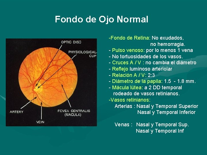Fondo de Ojo Normal -Fondo de Retina: No exudados, no hemorragia. - Pulso venoso: Fondo de Ojo Normal -Fondo de Retina: No exudados, no hemorragia. - Pulso venoso:
