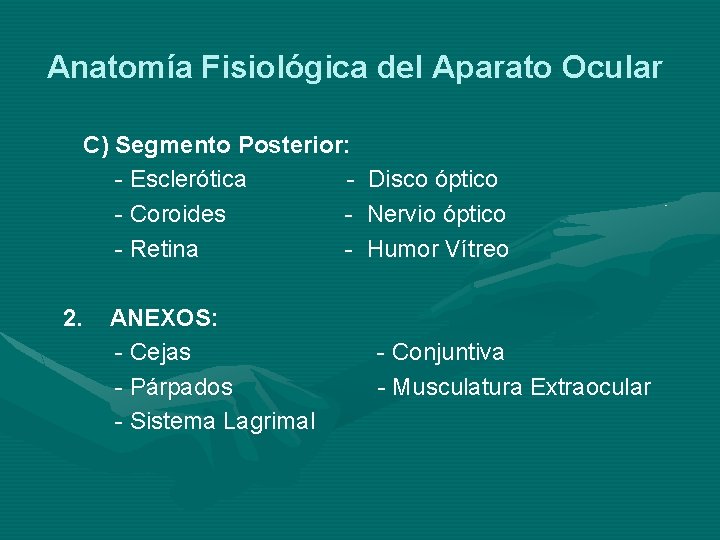 Anatomía Fisiológica del Aparato Ocular C) Segmento Posterior: - Esclerótica - Coroides - Retina Anatomía Fisiológica del Aparato Ocular C) Segmento Posterior: - Esclerótica - Coroides - Retina