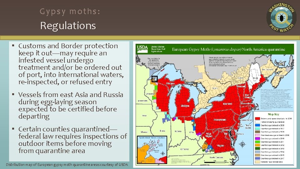 Gypsy moths: Regulations ▪ Customs and Border protection keep it out—may require an infested