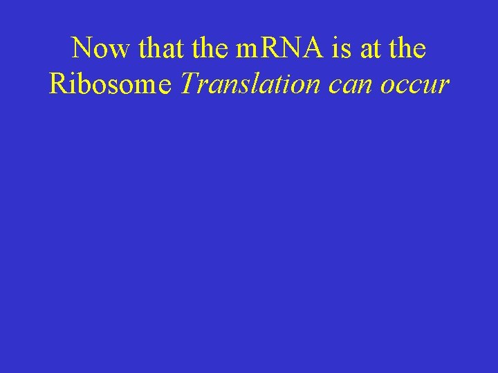 Now that the m. RNA is at the Ribosome Translation can occur 
