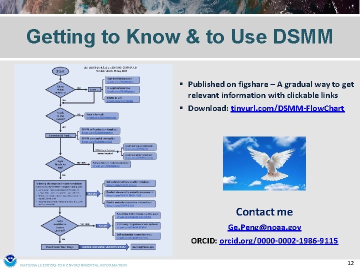 Getting to Know & to Use DSMM § Published on figshare – A gradual