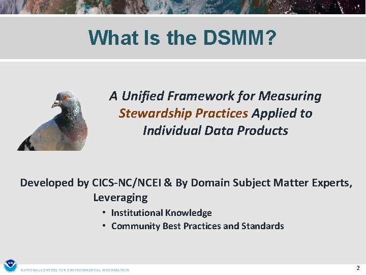 What Is the DSMM? A Unified Framework for Measuring Stewardship Practices Applied to Individual