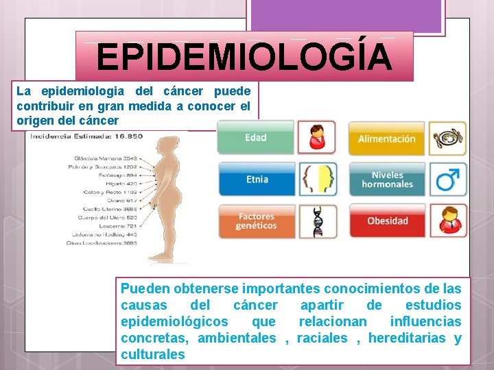 EPIDEMIOLOGÍA La epidemiologia del cáncer puede contribuir en gran medida a conocer el origen