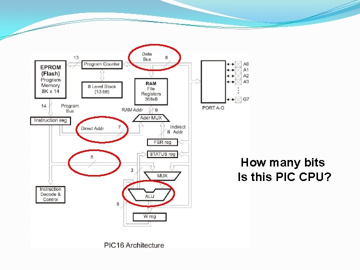 How many bits Is this PIC CPU? 