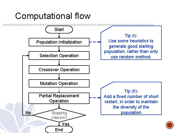 Computational flow Start Population Initialization Selection Operation Tip (I): Use some heuristics to generate