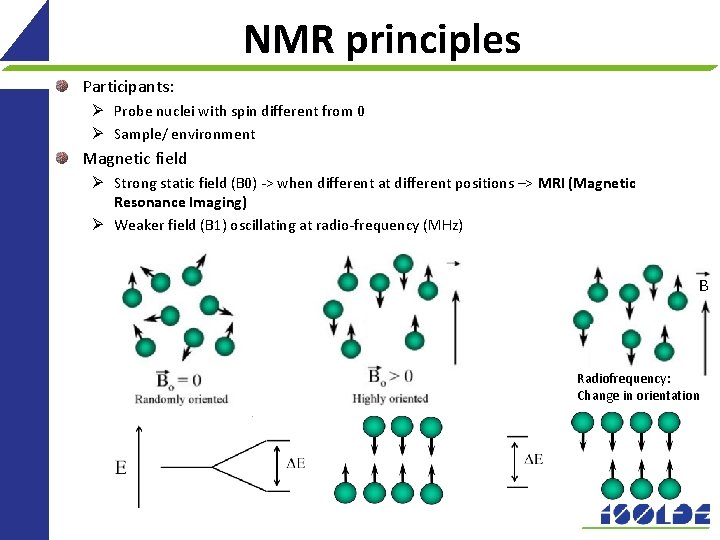 NMR principles Participants: Ø Probe nuclei with spin different from 0 Ø Sample/ environment