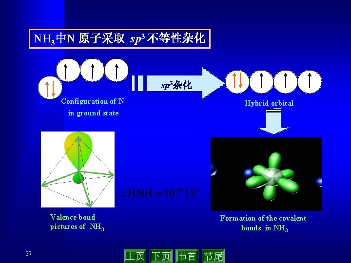 NH 3中N 原子采取 sp 3 不等性杂化 sp 3杂化 Configuration of N Hybrid orbital in